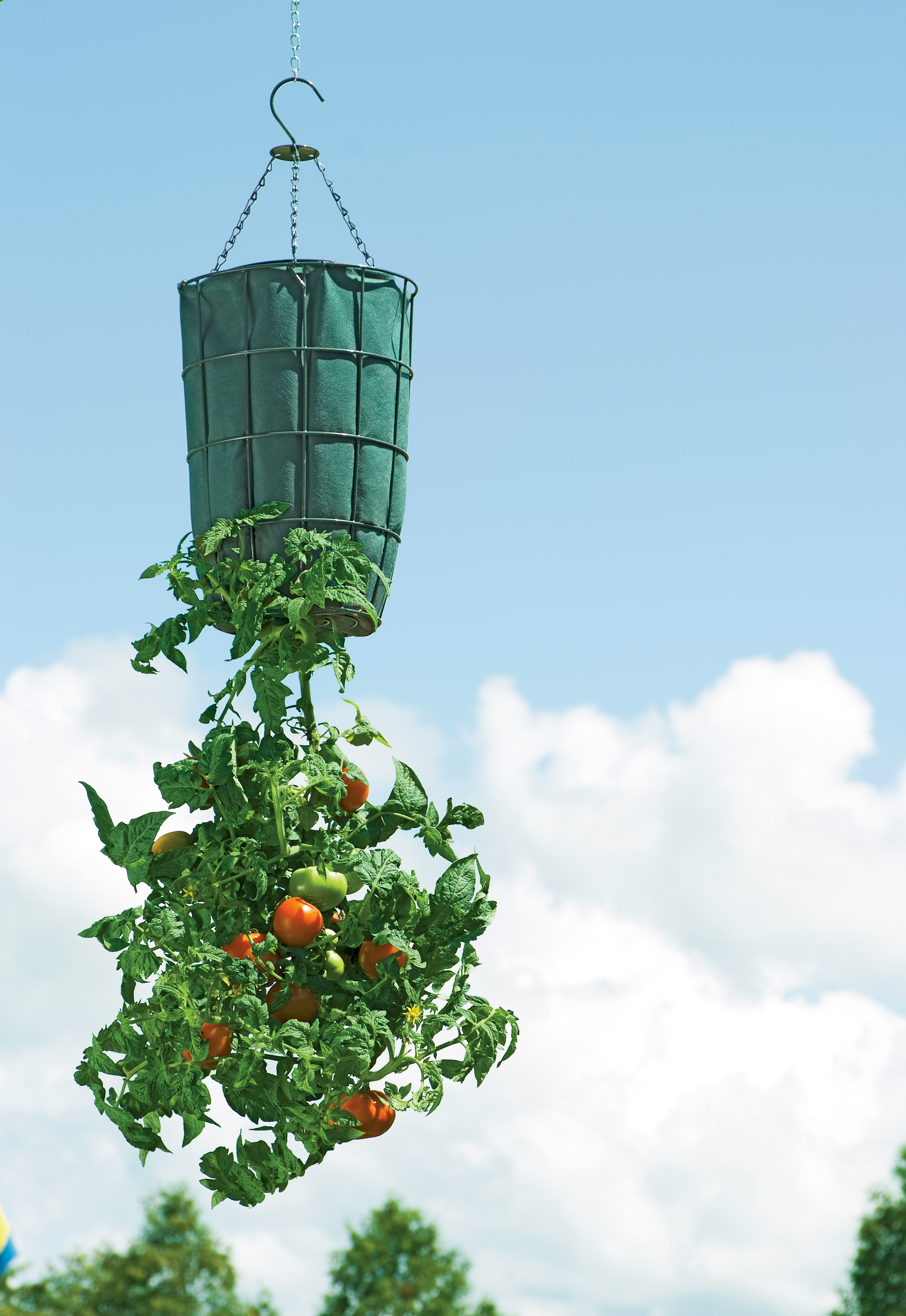 Compost The Cheap Vegetable Gardener