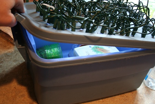 Cheapest grow light discount