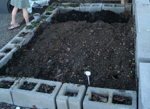 Cinder block Raised vegetable garden