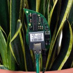 Plants reveal your gardening shortcomings through Twitter