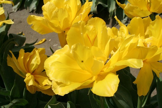 049