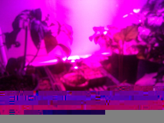 WP_000107