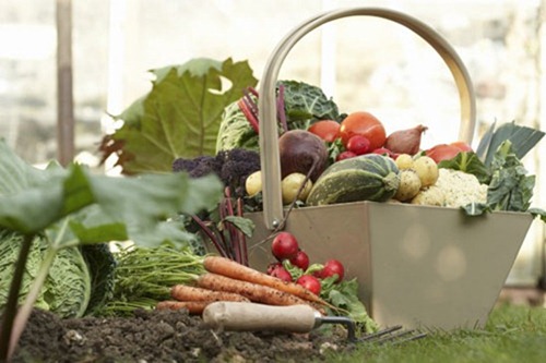 polycultures