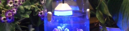 LiterLightBanner