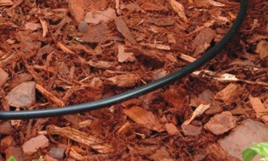 DripIrrigation