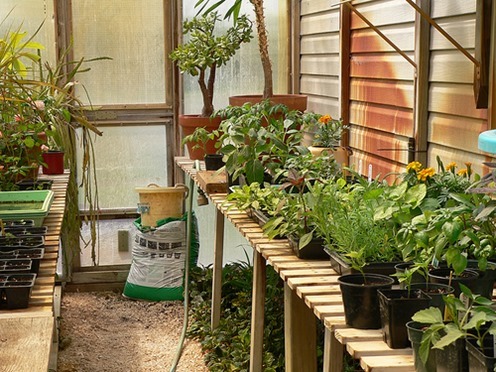 InsideGreenhouse