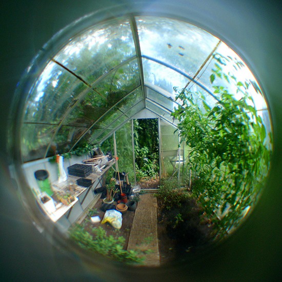 PeepholeGreenhouse