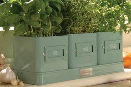 Herb garden in containers
