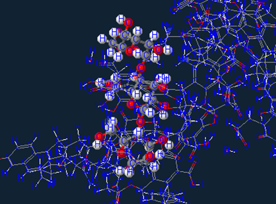 Saccharide sugar molecule