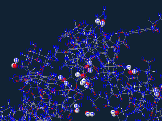 Water molecule