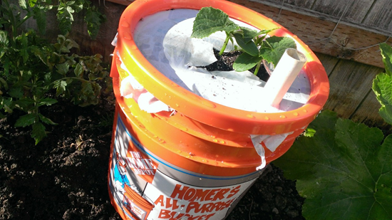 How To Make A Self Watering Planter With A 5 Gallon Bucket
